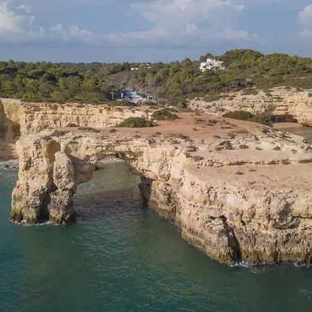 Lovely Lm Penthouse Lejlighed